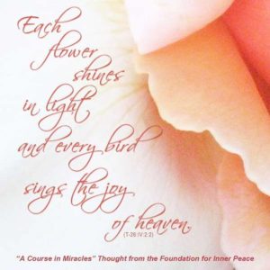 graphic (ACIM Weekly Thought): "Each flower shines in light, and every bird sings of the joy of Heaven." T-26.IV.2:2
