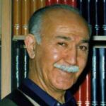Monsour Faridi